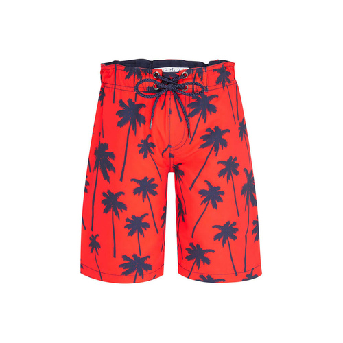 Ants Pants Boardshorts