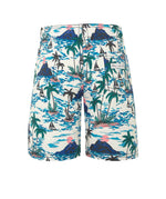 Hawaii Boardshorts (SIZES 1, 2, 3, 5 ONLY)