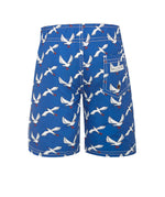 Boys Boardshorts SEAGULLS  (SIZES 1, 2, 4, 5, 14 ONLY)